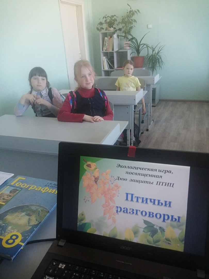 Птичьи разговоры.