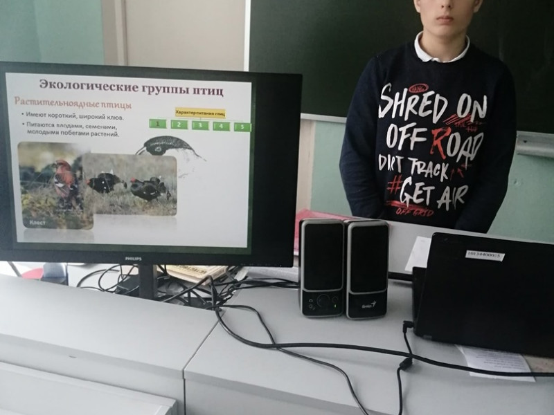 ЭГ птиц.