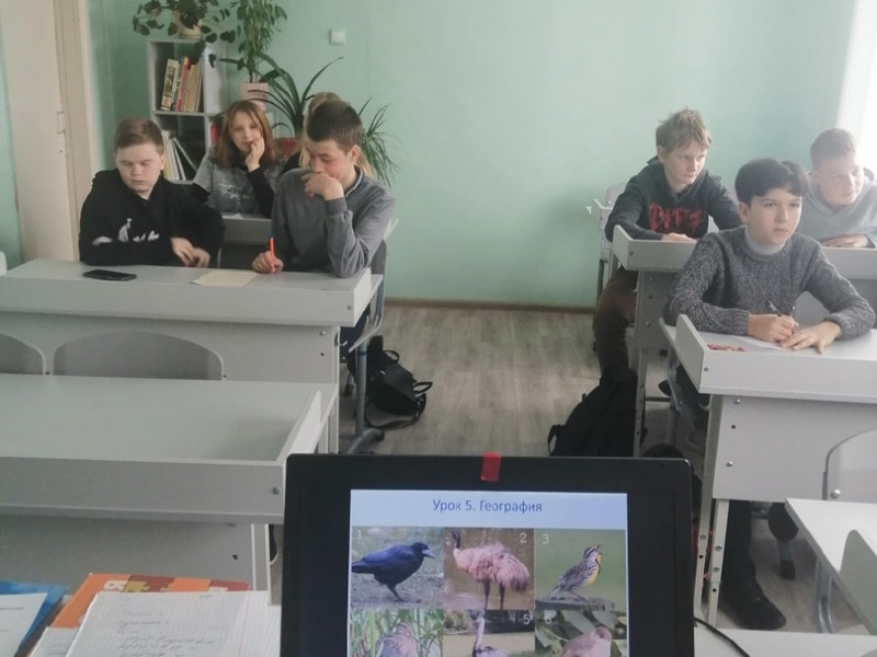 ЭГ птиц.